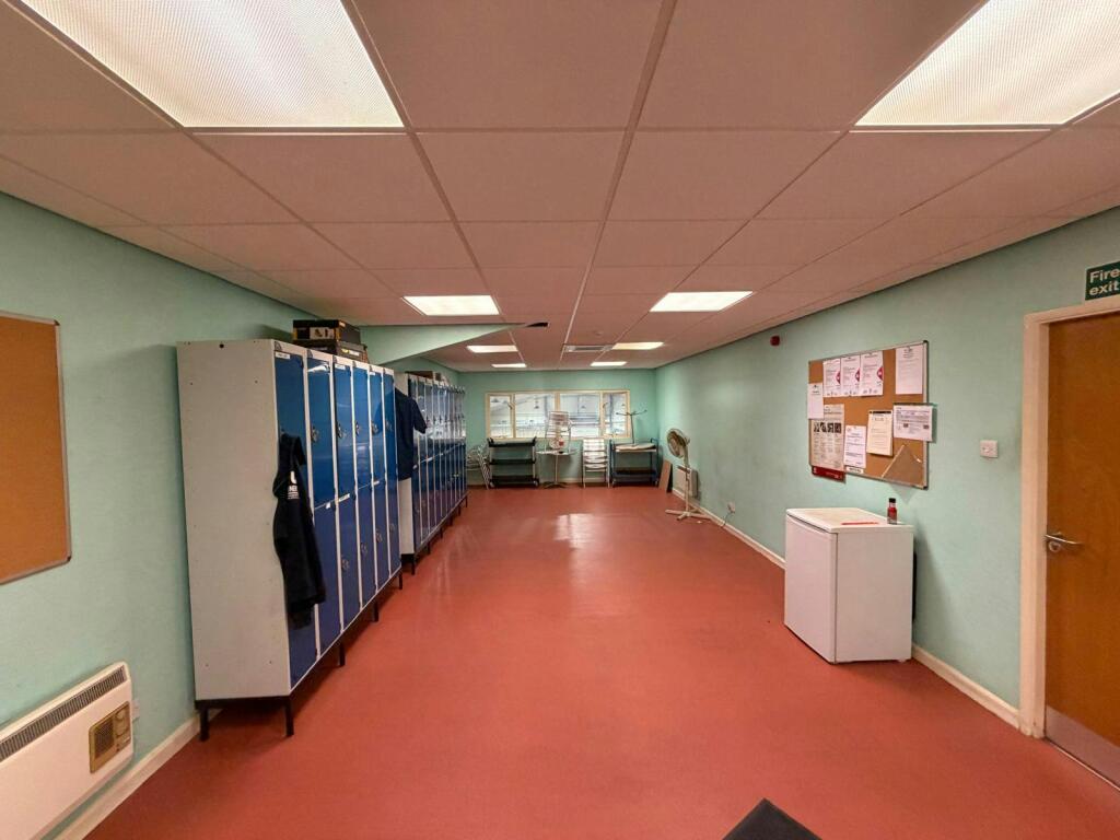 p16.jpg