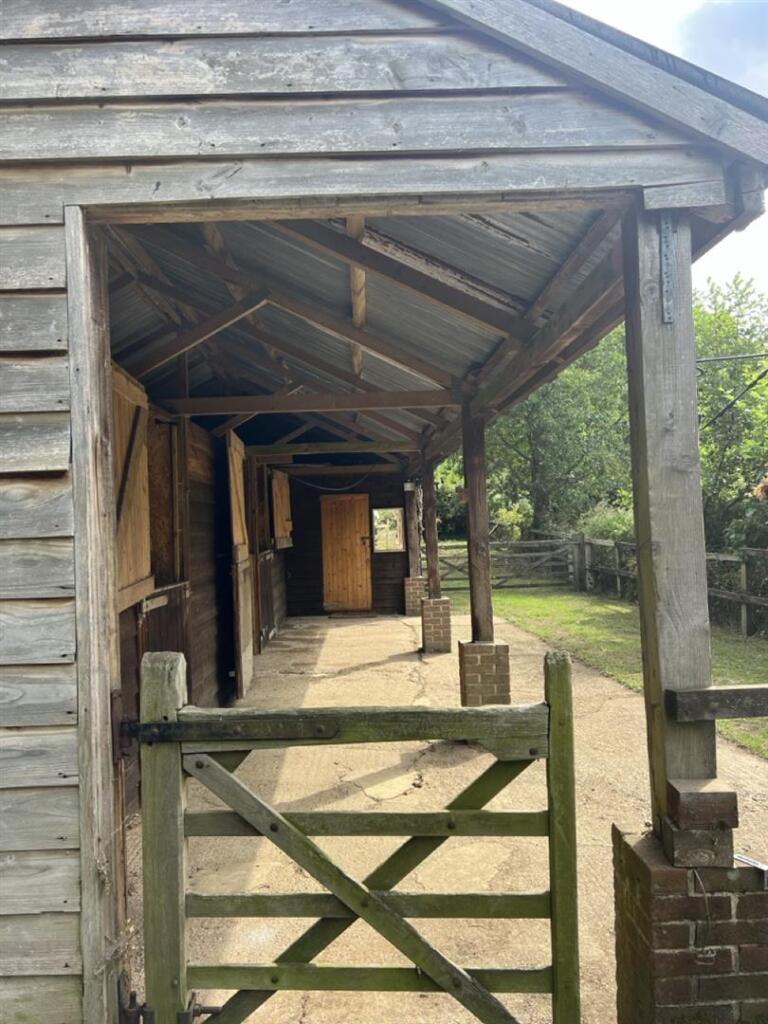 Hascombe, Surrey - View 3