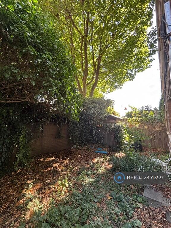 1 bedroom flat share for rent