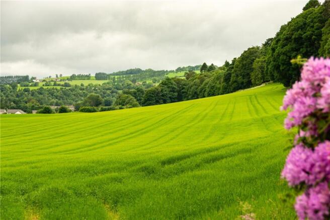Land