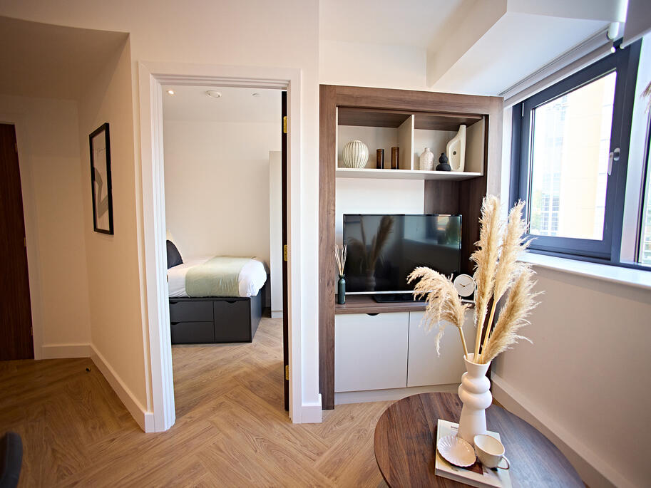 1 bedroom apartment for rent