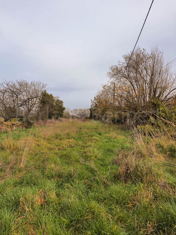 Main image of property: Poitou-Charentes, Deux-Sèvres, Paizay-le-Chapt