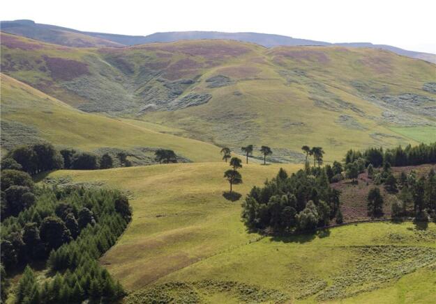 Portmore Estate