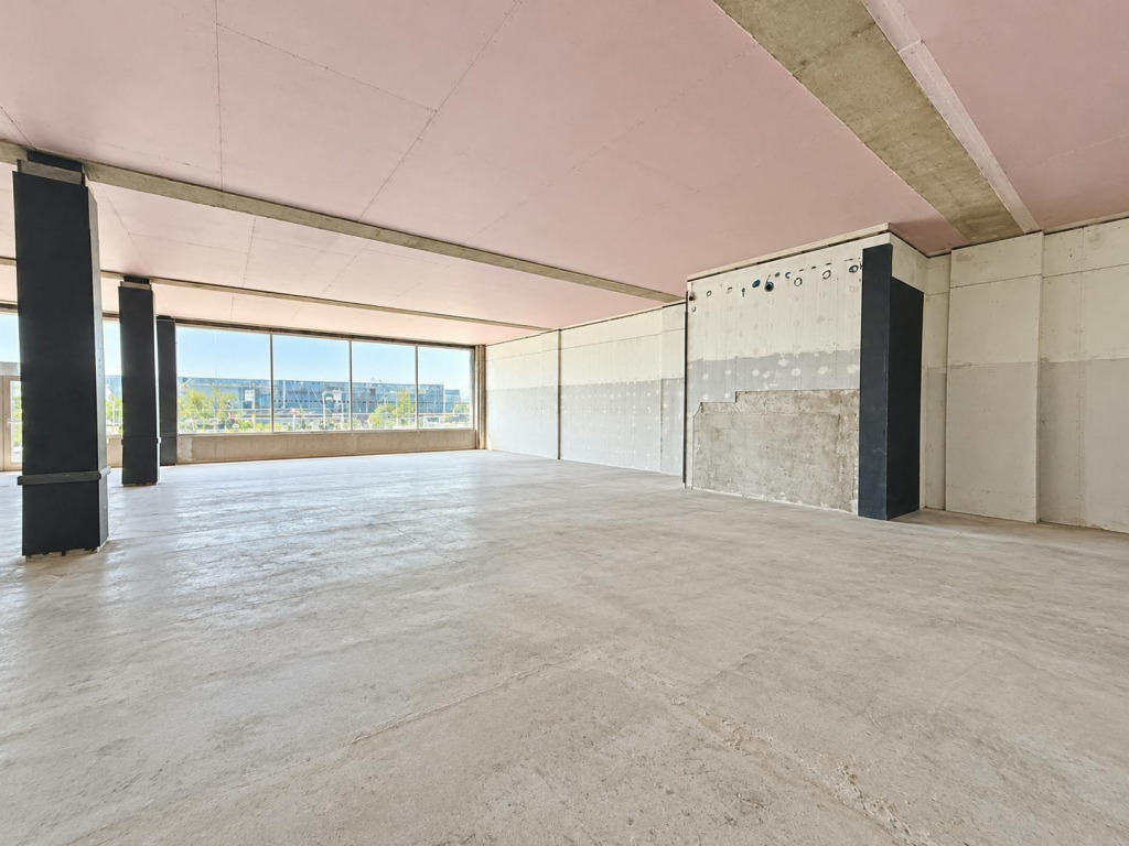 Renovation Shell with Urban Views.png