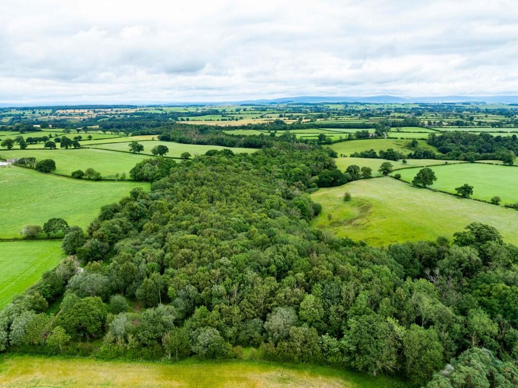 Lot 4 - Taylors Wood, Ivegill, Carlisle, CA4 0QF