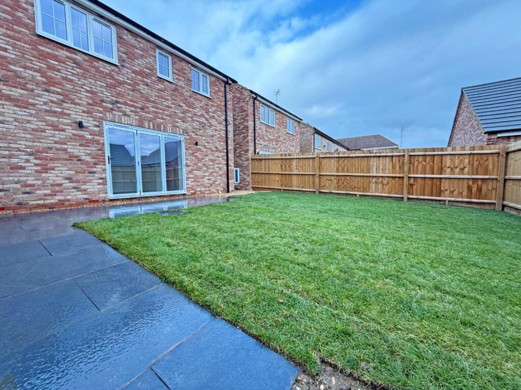 Spring View, Manea, March photo 4