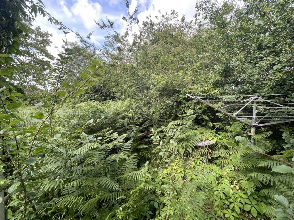 Upper Stafford Avenue, New Costessey - View 6