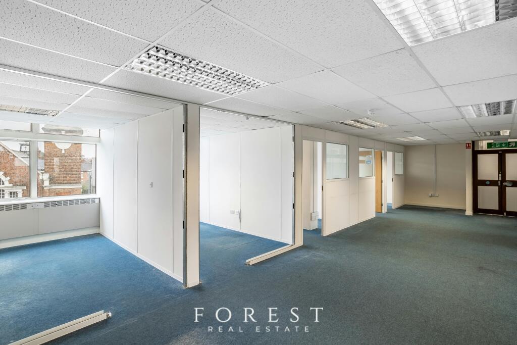 Hille  Watford15.jpg