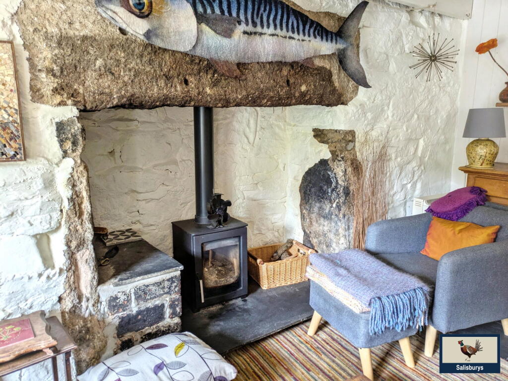 Coombe Cottages, Peter Tavy, PL19 9NT photo 4
