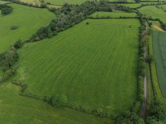 DJI_20260529100235_0163_D.JPG