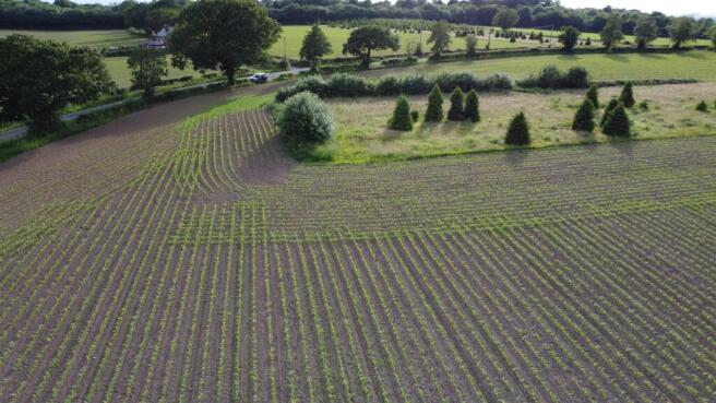 DJI_0520.JPG