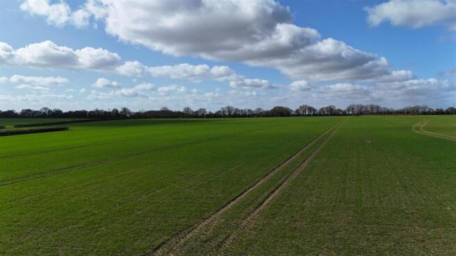 DJI_20260311110344_0102_D.JPG