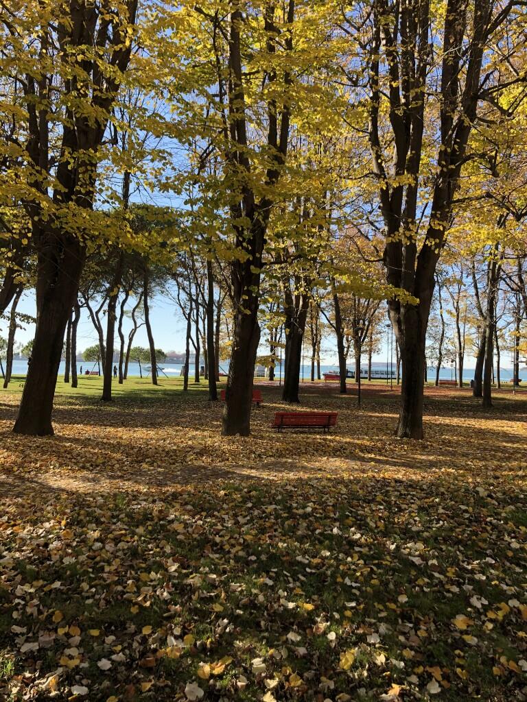 Main image of property: Venezia, Venice, Veneto