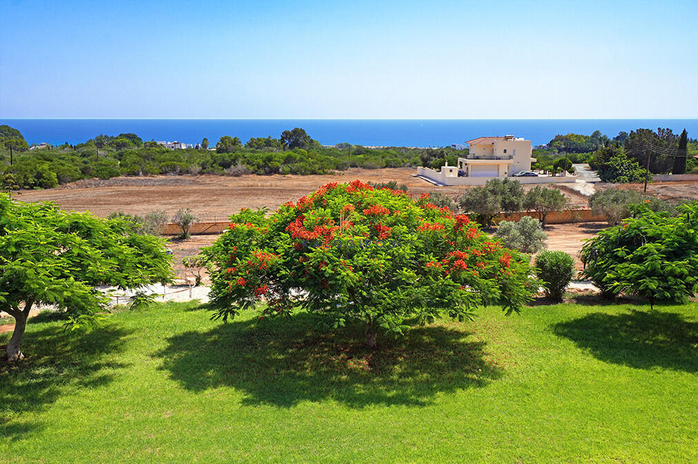 Main image of property: Famagusta, Ayia Napa