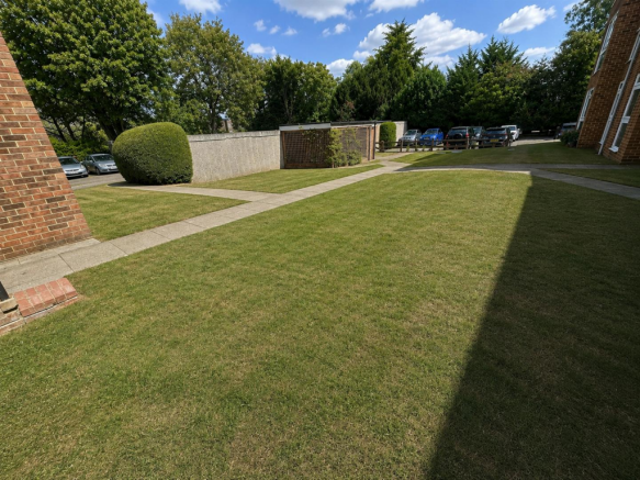 COMMUNUAL GARDEN.png