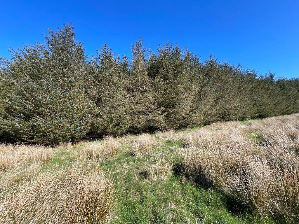 Additional image 15 of Woodland at Broadmuir, Hill of Fisherie, Turriff, AB53 5QL