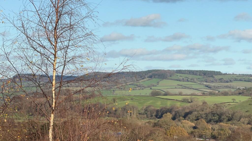 Bridge Road, Budleigh Salterton, EX9 photo 2