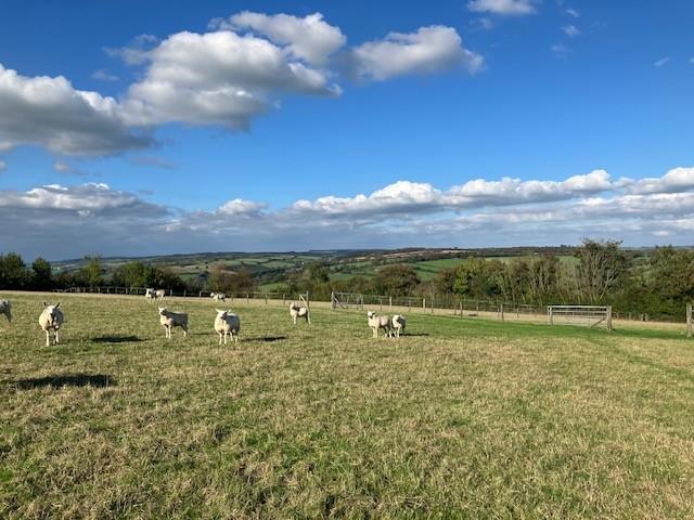Land near Stockham Farm, Dulverton - View 2