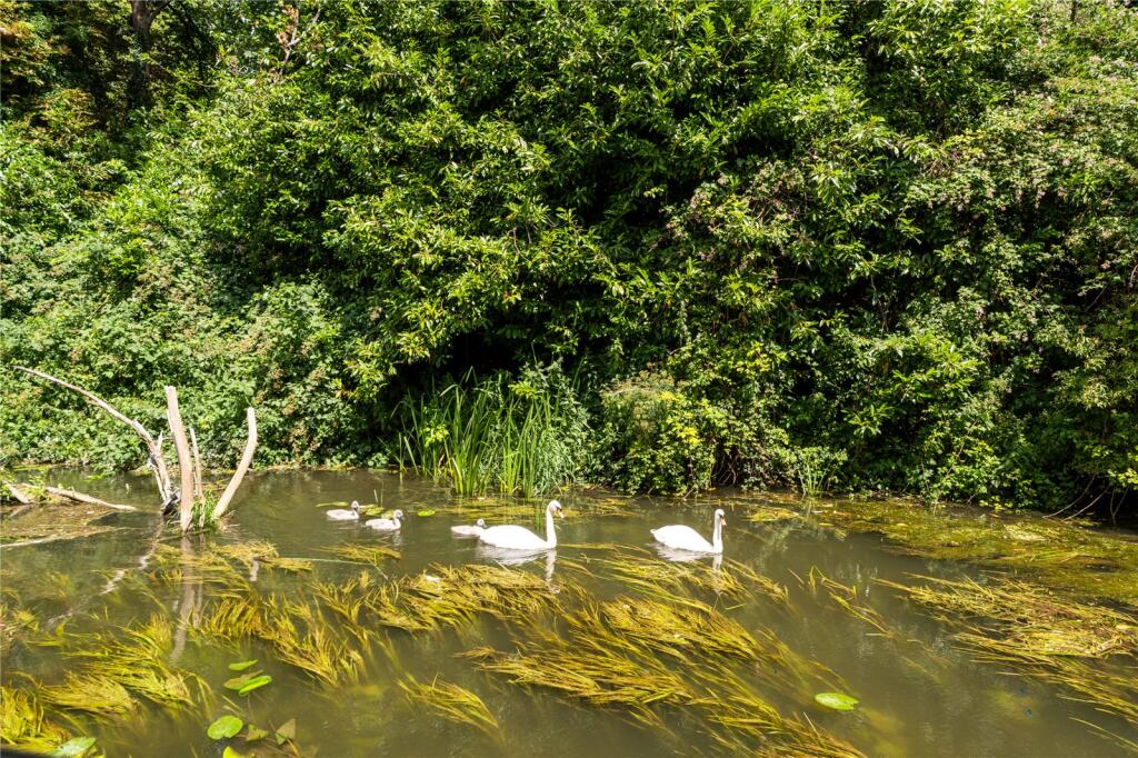 Additional image 25 of Sully, Bradford On Avon