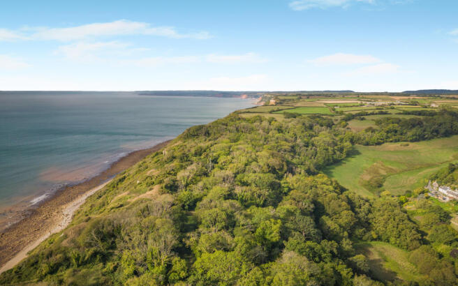 Littlecombe Shute, Branscombe, Seaton, Devon EX12 3DP
