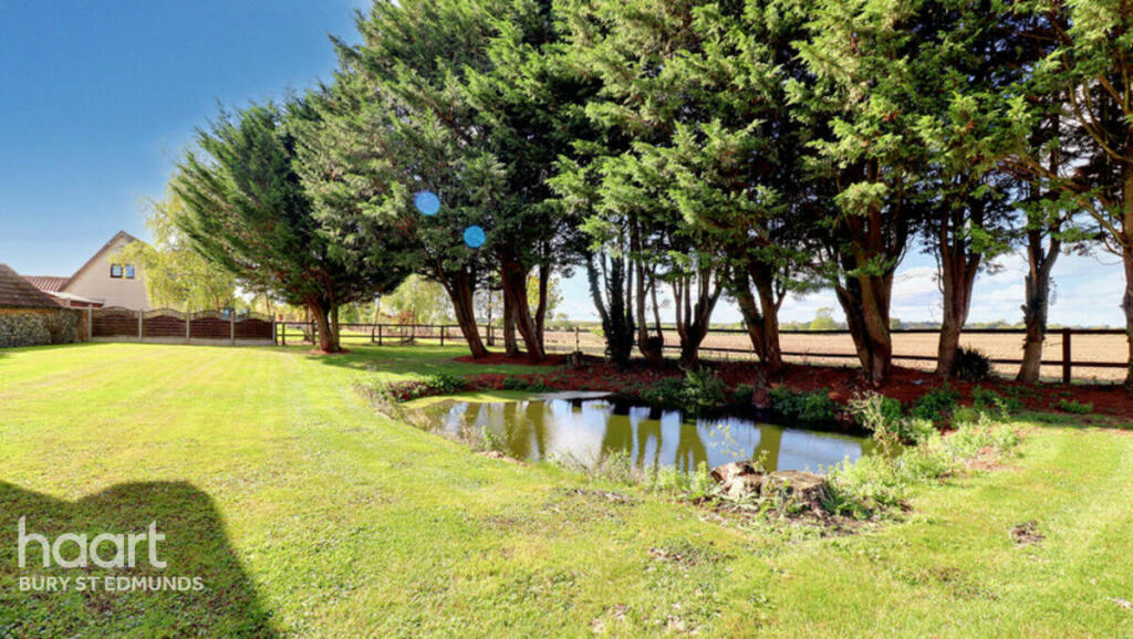 Thorpe Street, Bury St Edmunds photo 3