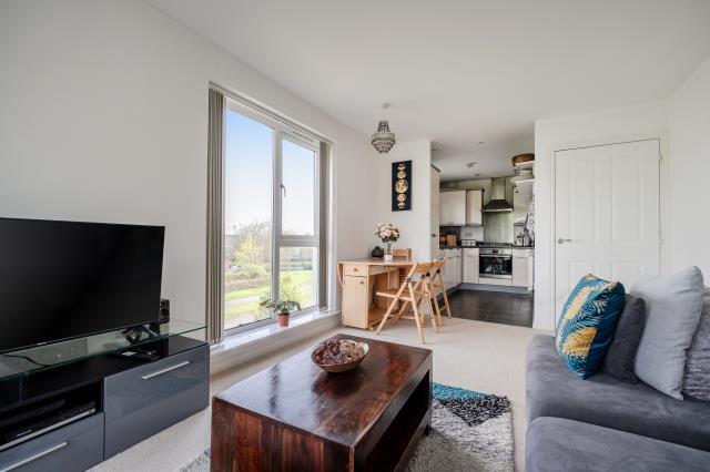 Lowe Gardens, Basingstoke, Hampshire - More