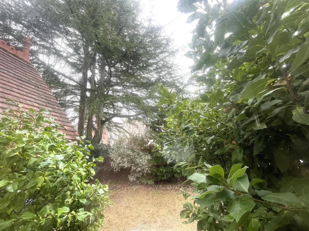 37 Auckland Road East photo 3