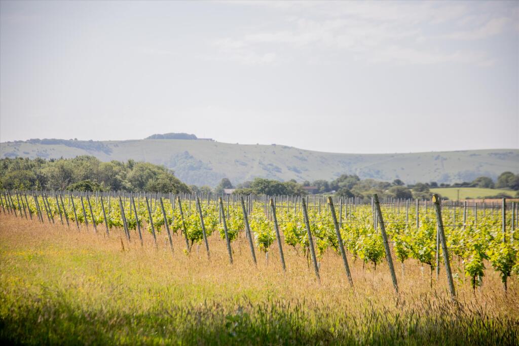 Main image of property: Park Farm Vineyard, Henfield Road, Poynings, Brighton, West Sussex BN45