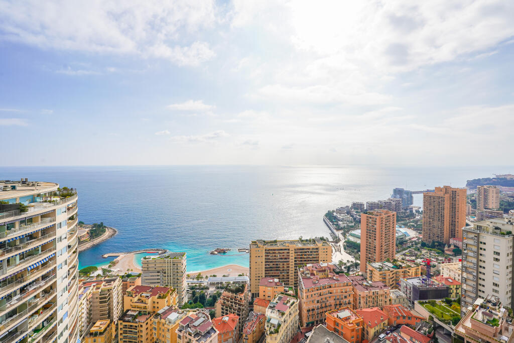 Main image of property: Monaco