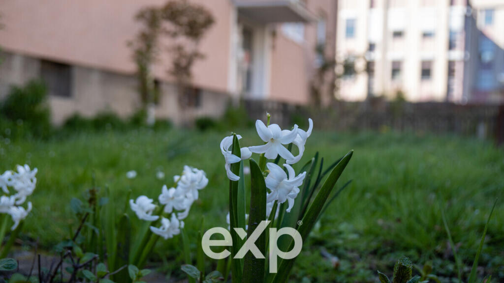 Main image of property: Lower Saxony, Laatzen