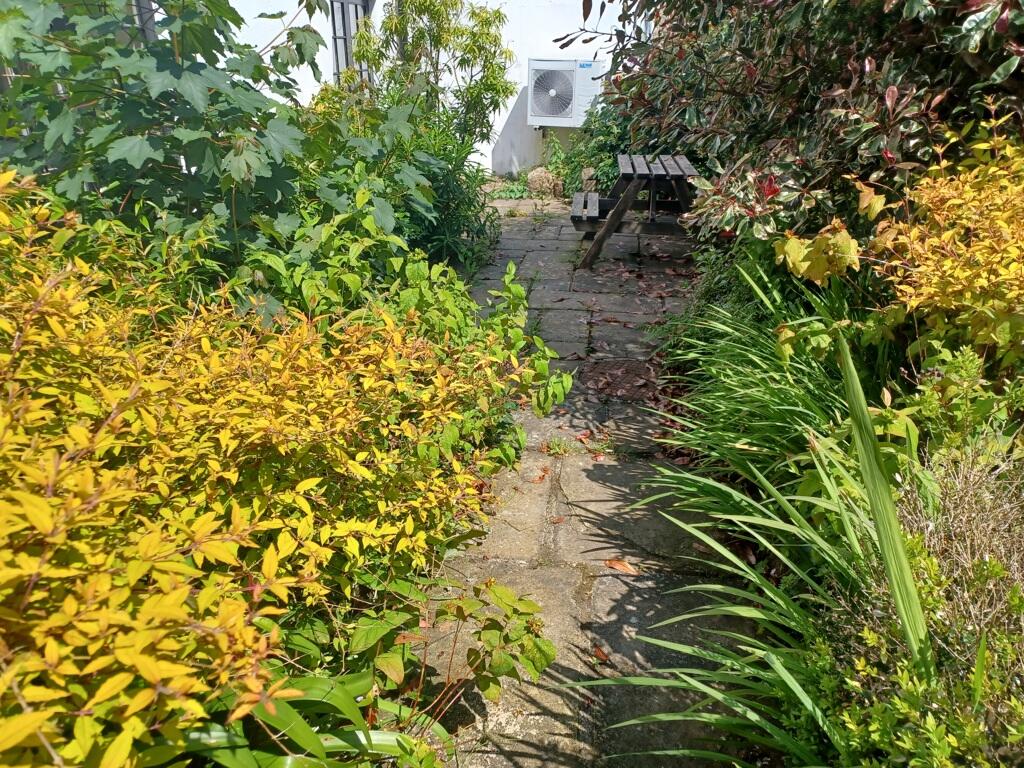 Photo 14