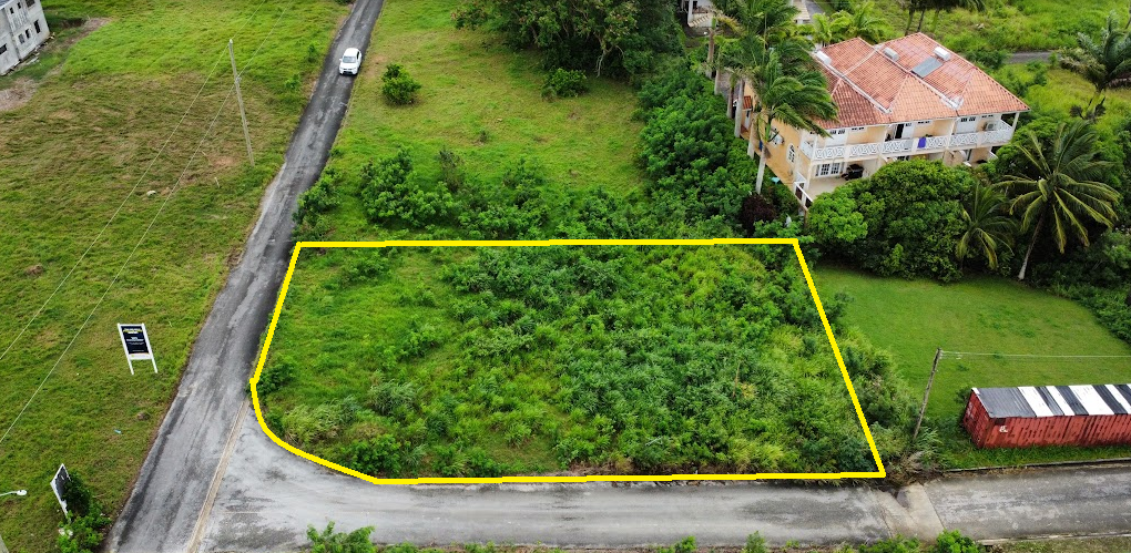 Main image of property: Apes Hill, St James