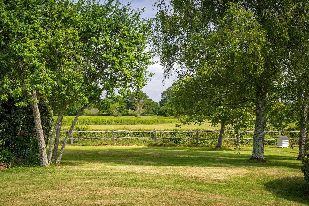 Bepton, Midhurst, West Sussex, GU29 photo 3