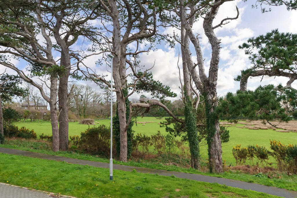 31, Gibbs Grove, Ramsey photo 4