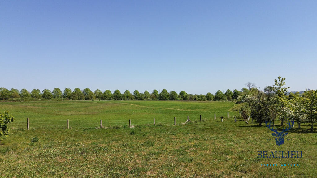 Multon Lea, Beaulieu Park, CM1 6 photo 3