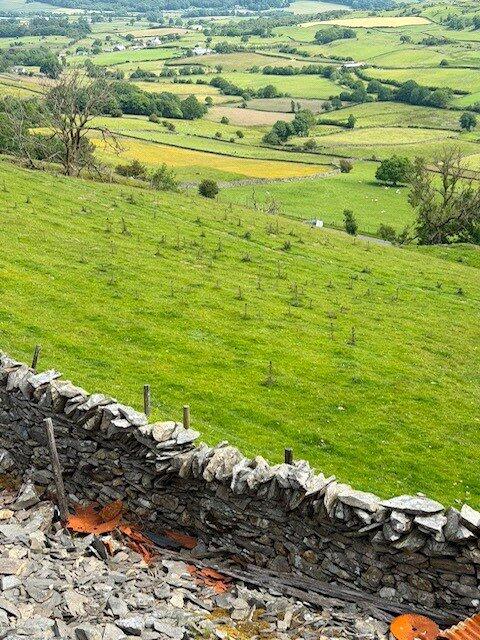 Gawthwaite, Near Ulverston, Cumbria, LA12 - View 5