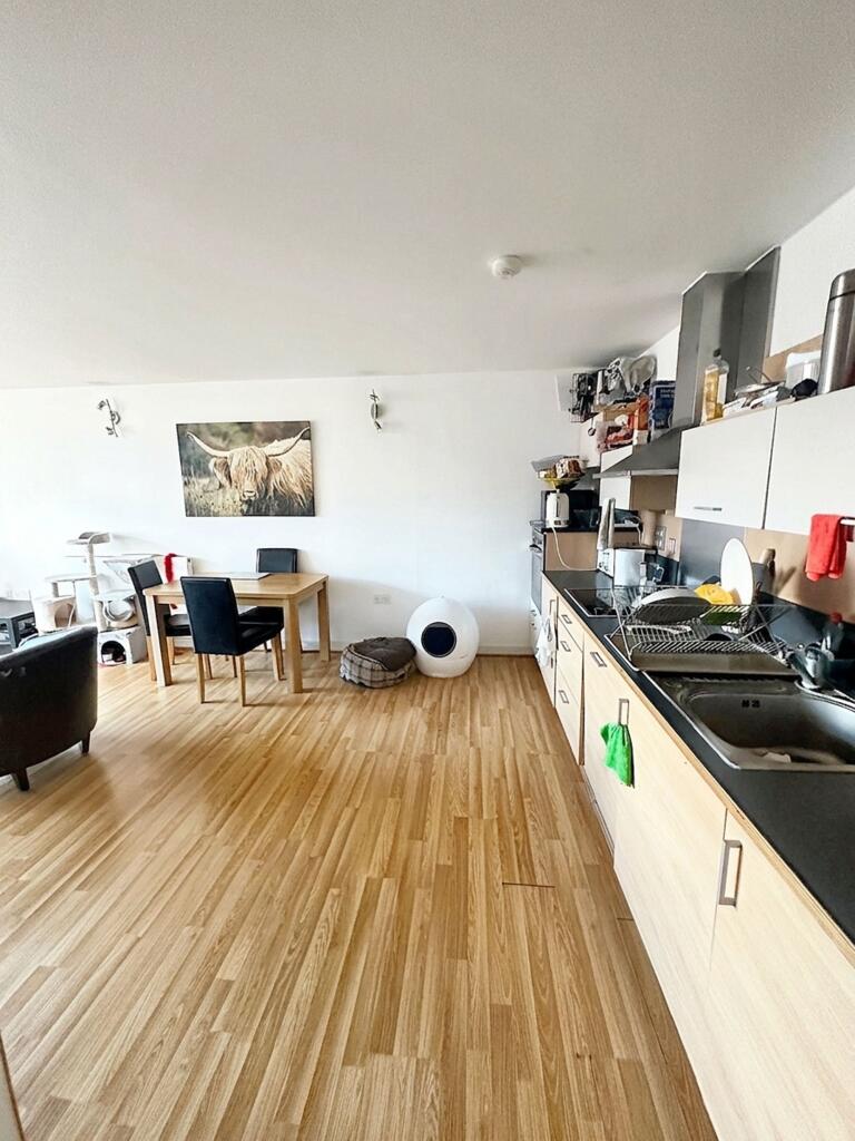 1 bedroom flat share for rent