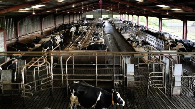 Former Dairy Complex
