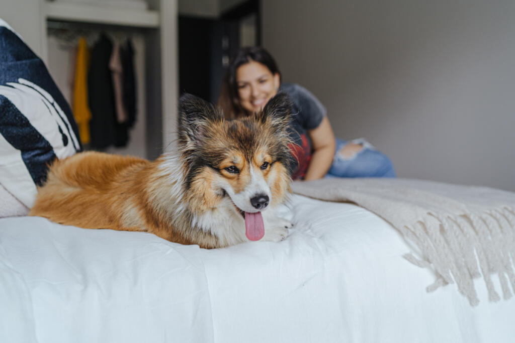 Main image of property: Lyons Dock, Greenford