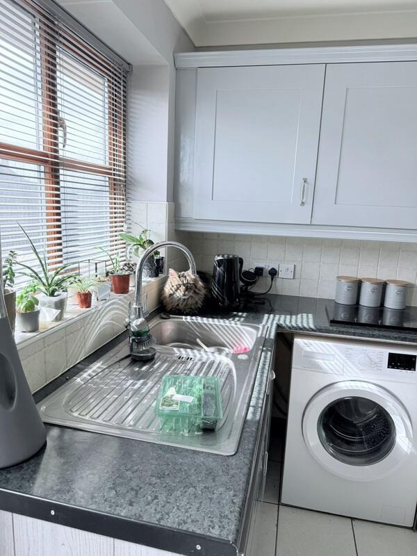 House in Llandrinio - View 3