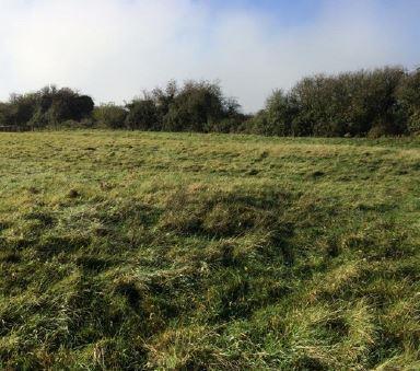 site image 1.JPG
