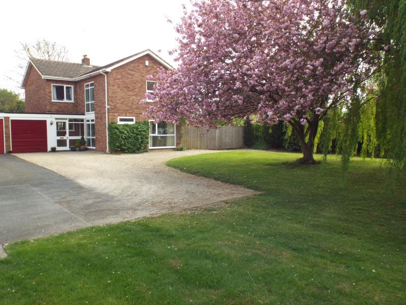 Photo of the property