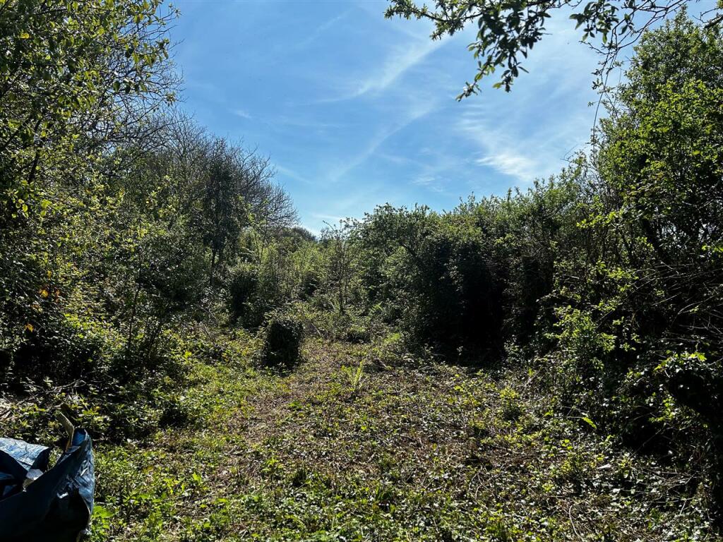 Main image of property: FLUSHING
