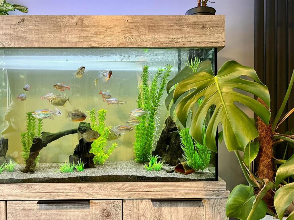 Additional image 12 of Kingsbury Road, Curdworth, Sutton Coldfield