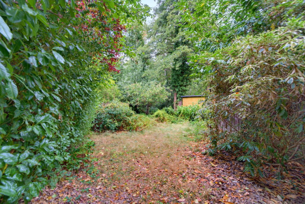 House in Kingston upon Thames - View 5