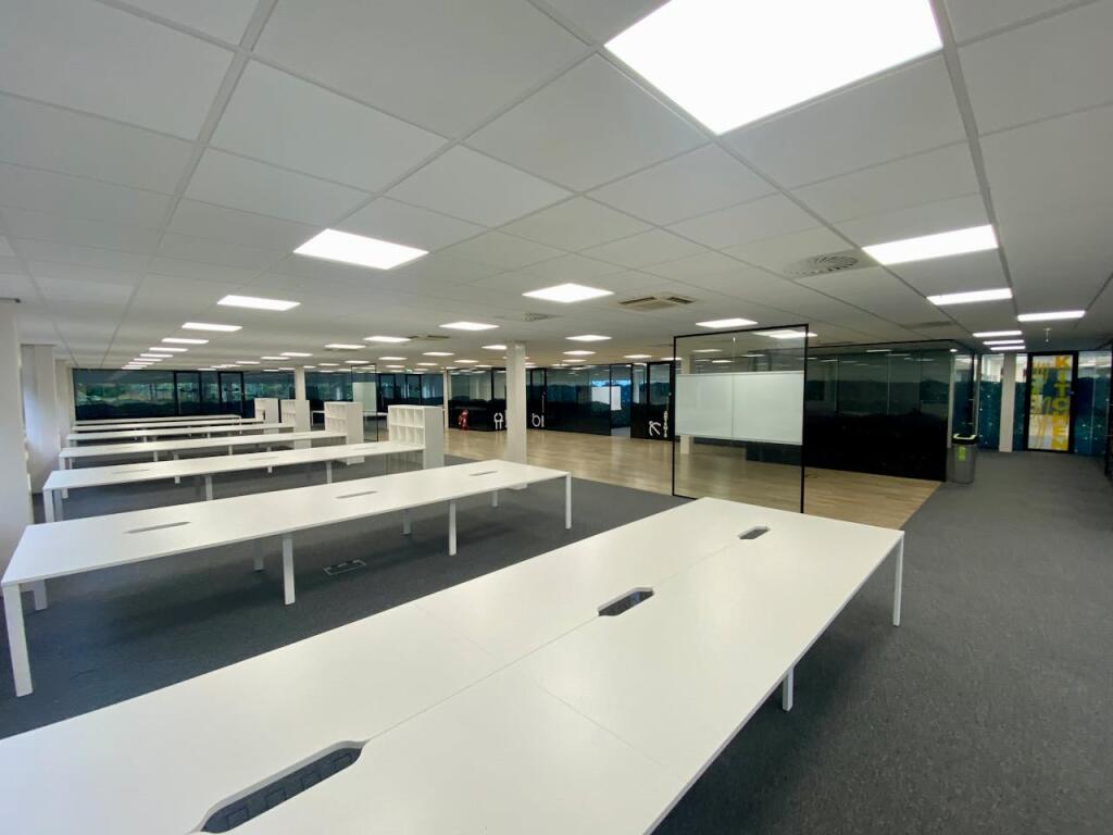 IMG_0607.jpeg
