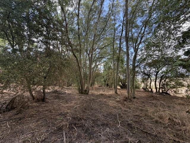 Woodland at Clipston-On-The-Wolds, Keyworth, Nottingham - View 5