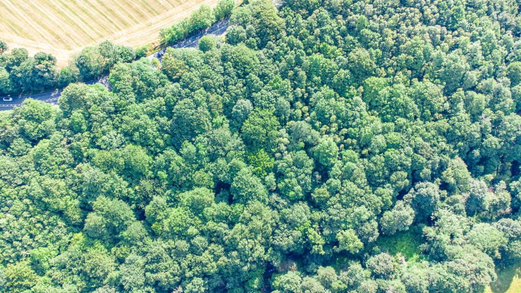 Main image of property: Dam Hil, Shelley, Huddersfield, HD8