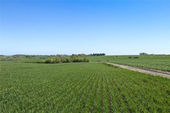 Farmland