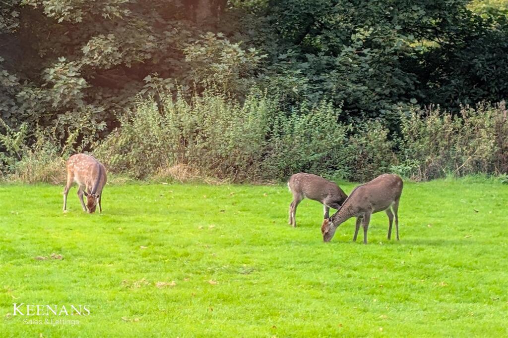 Additional image 63 of King Henry Mews, Bolton By Bowland